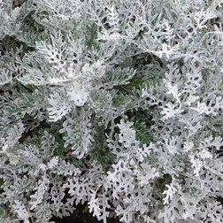 ������ ������ ��������� ����������� (1��-1000��) ���������������� ������   ����