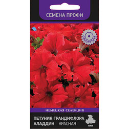 ������ ������ ������� ����������� ������� ������� (������ �����)   ����