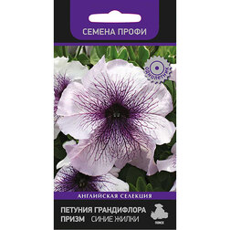 ������ ������ ������� ����������� ����� ����� ����� (������ �����)   ����