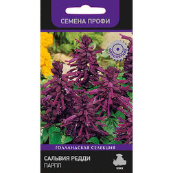 ������ ������ ������� ����� ����� (������ �����)   ����