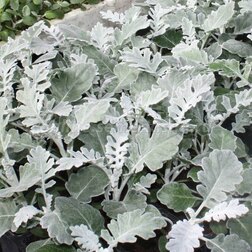 ������ ������ ��������� ���������� (1��-5 000��) ���������������� ������   ����