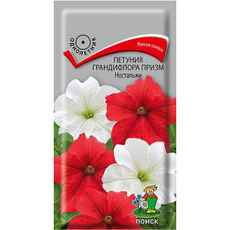 ������ ������ ������� ����������� ����� ��������� (���� ������. �� ����� 2024 �)   ����