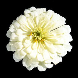 ������ ������ ������ ������ ���� (1��-100��) ���������������� ������   ����