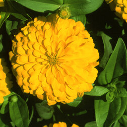 ������ ������ ������ ������ ����� (1��-100 ��) ���������������� ������   ����