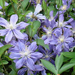 ������ ������ �������� ������������ ��������   ����