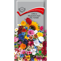 ������ ������ ����� ���������� ��������   ����