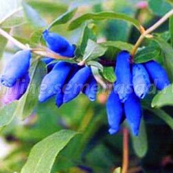 ������ ������ ������� ��������� ��������� �������������   ����