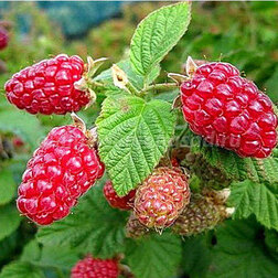 ������ ������ ������ ������������ ����� ���� 2   ����