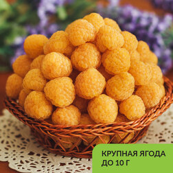 ������ ������ ������ ������������ ������� ������   ����