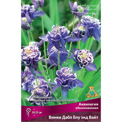 ������ ������ ��������� ������������ ����� ���� ��� ��� ����   ����