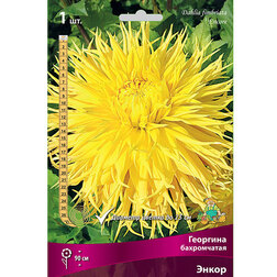 ������ ������ �������� ����������� �����   ����