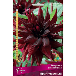 ������ ������ �������� ������������ �������� �����   ����