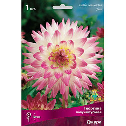 ������ ������ �������� �������������� �����   ����