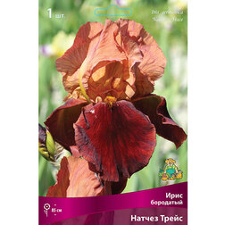 ������ ������ ���� ��������� ������ �����   ����