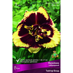 ������ ������ �������� ��������� ������ ����*   ����