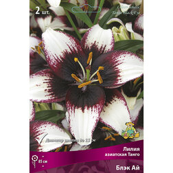 ������ ������ ����� ��������� ����� ���� �� (2 ��.)   ����