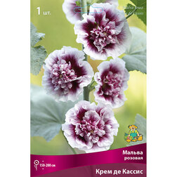 ������ ������ ������ ������� ���� �� ������   ����