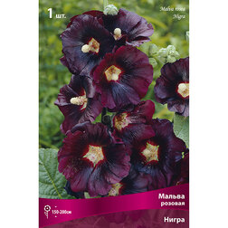 ������ ������ ������ ������� �����   ����