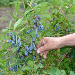 ������ ������ ��������� ��������� ���� ��������   ����