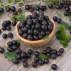 ������ ������ ����� (��������� � ���������) ���� (���������)   ����