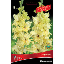 ������ ������ ��������� �������� (5 ��.)   ����