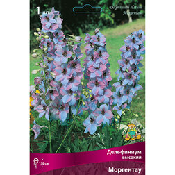 ������ ������ ���������� ������� ���������   ����