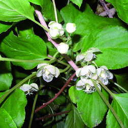 ������ ������ ��������� ������ ����� (�������)   ����