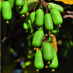 ������ ������ ��������� ������ ������   ����