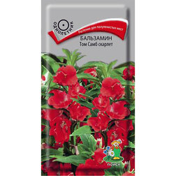 ������ ������ ��������� ��� ���� �������   ����