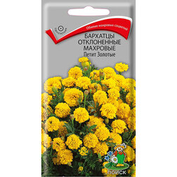 ������ ������ �������� ����������� �������� ����� �������   ����