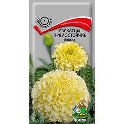 ������ ������ �������� ������������ ������   ����