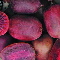 ������ ������ ��������� ������ �������� ������   ����