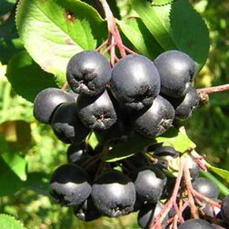 ������ ������ ������ ������������   ����