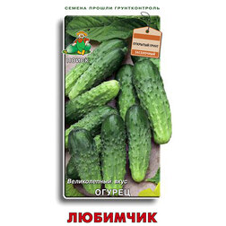 ������ ������ ������ ��������   ����