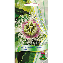 ������ ������ ���������� ��������� �������   ����