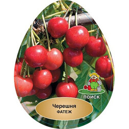 ������ ������ ������� �����   ����