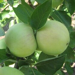 ������ ������ ������ ���������� ����   ����