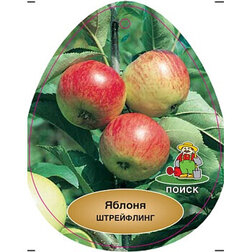 ������ ������ ������ ������� ��������� (���������)   ����