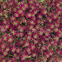 ������ ������ ������� ����� ����� ��� ���� (1��-5 000��.) ���������������� ������   ����