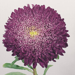 ������ ������ ����� ������ �������� ��� (1 ��-1000��) ���������������� ������   ����