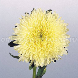 ������ ������ ����� ������ �������� ����� (1 ��-1000��) ���������������� ������   ����