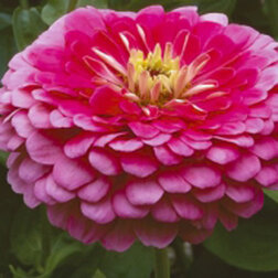 ������ ������ ������ ������� ������ ����� (1����-1000��)���������������� ������   ����