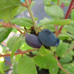 ������ ������ ��������� ��������� ����������   ����