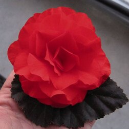 ������ ������ ������� ��������� ������� ����� ������� (1��-100 �����) ���������������� ������   ����