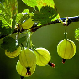 ������ ������ ��������� ������� ������   ����