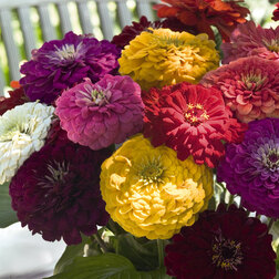 ������ ������ ������ ������� ������ ���� (1����-100��)���������������� ������   ����