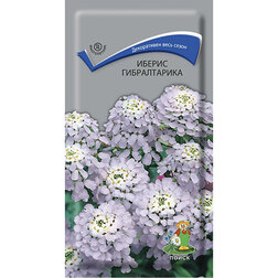 ������ ������ ������ ������������   ����