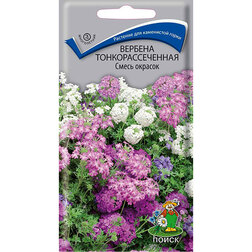 ������ ������ ������� ���������������� ����� �������   ����