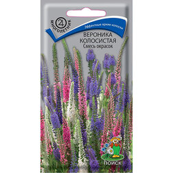 ������ ������ �������� ���������� ����� �������   ����