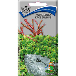 ������ ������ �������� ����������   ����